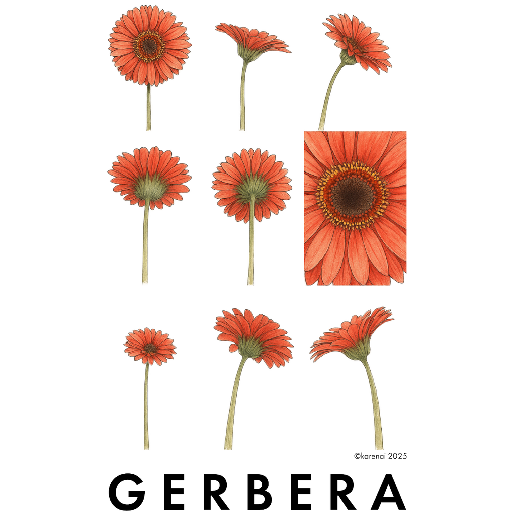 Gerbera - Nine Views of a Gerbera - L/S Tee